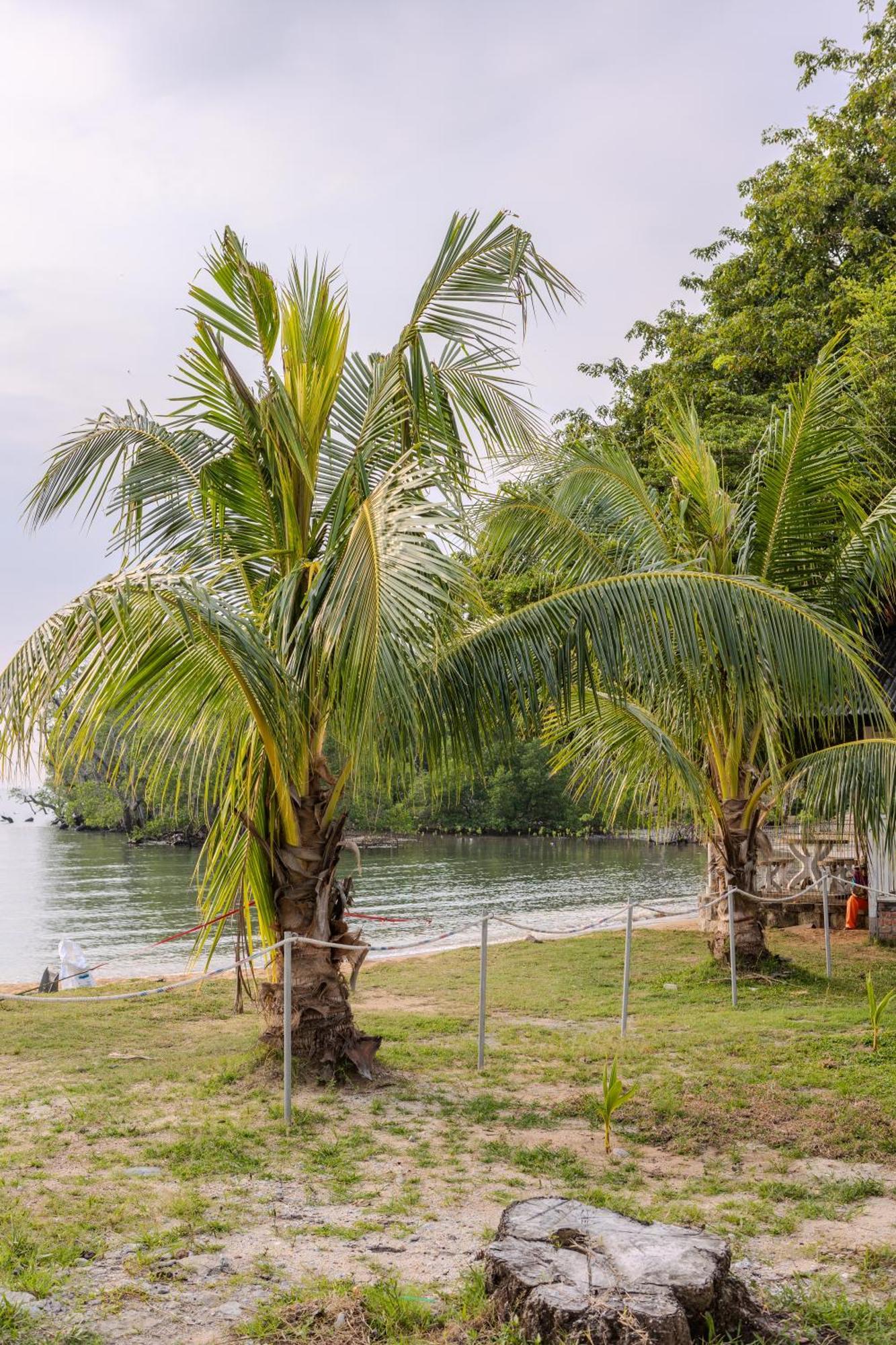 Suntai Villa, Beachfront Suites Kampong Si Ginting Buitenkant foto